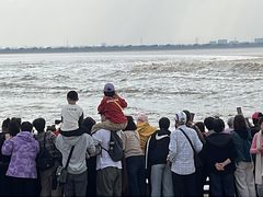 -观潮胜地公园