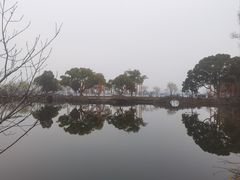 -无锡蠡湖国家湿地公园-蠡园
