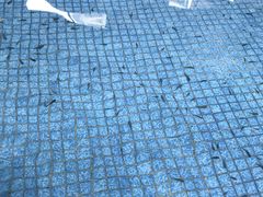 -兴芮温泉度假区