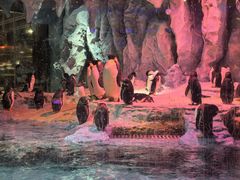 -帝企鹅自助餐厅•儿童岛•真企鹅(长隆企鹅酒店)