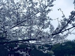 -宜兴龙背山森林公园