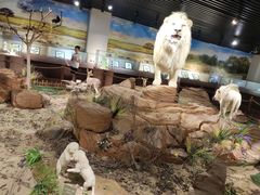 -陕西自然博物馆