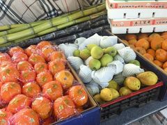 -团泊镇示范集贸市场