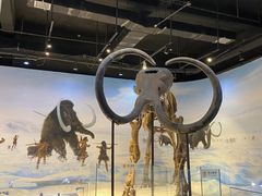 -辽宁古生物博物馆