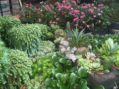 -山菌美食苑(振兴路店)