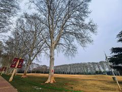 -河南省黄河迎宾馆
