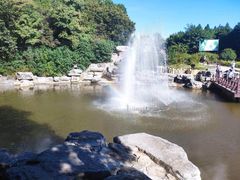 -北京西山国家森林公园