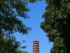 -红花山公园
