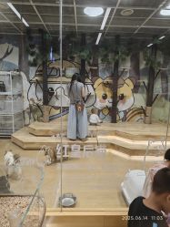 -小象动悟公园(龙湖亦庄天街店)