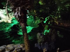 -汕尾莲花山温泉度假村