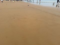 -日照海滨国家森林公园