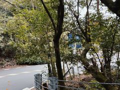 -蒋氏故居