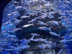 -波塞冬旅游度假区