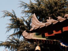 -西安市广仁寺