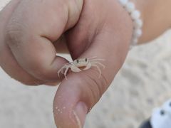 -西涌国际滨海旅游区