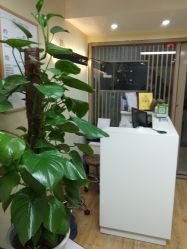 -轻妆Feel·半永久纹眉眼线