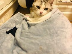 -平行世界·猫咖(首经贸店)