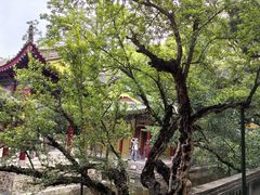 -华清宫景区