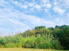 -盘龙城国家考古遗址公园