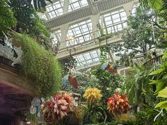 -正佳雨林生态植物园
