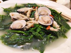 鲜贝灼碧绿桑叶-金苑酒家·客家菜·广东老字号(万象店)