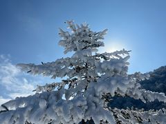 -太子岭滑雪场