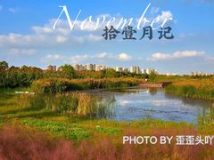 -嘉北郊野公园