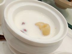 牛奶炖花胶-金华安大酒楼·老牌潮菜·粤式茶点(东方国际店)