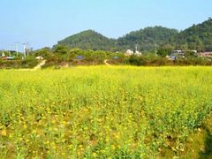 android_upload_pic-红山村