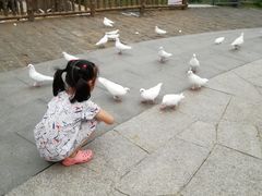 -无锡动物园·太湖欢乐园