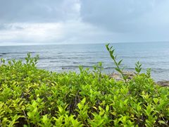 -三亚西岛海洋文化旅游区
