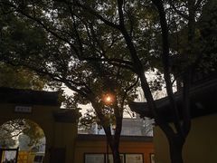 -西园戒幢律寺