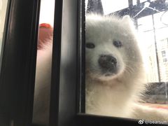 -1点点(银座和谐广场店)