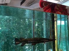 -衡山汇·高级粤菜(霄云路店)