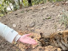 -狼山风景名胜区