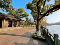 -杭州西湖柳莺里酒店·闻莺厅