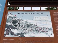 -北京鹫峰国家森林公园