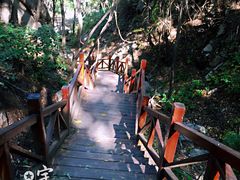 -大岭沟猕猴桃谷风景区