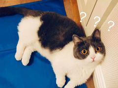 -黑牛黑猪烤肉专门店(万象城店)