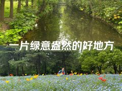 -上海滨江森林公园