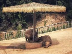 -泉州海丝野生动物世界