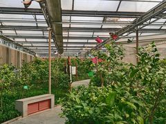 -南宫五洲植物乐园