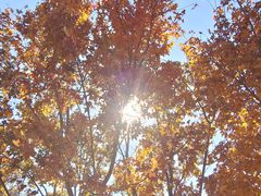 -北京西山国家森林公园