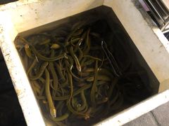 -铜元老码头鳝鱼火锅