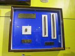 IMG_2825-上海昆虫博物馆