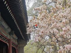 -潭柘寺景区