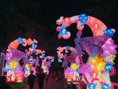 -映月湖公园