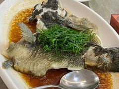 -聚彩居三和酒楼•老字号粤菜(南城店)