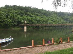 -黄椅山火山森林公园