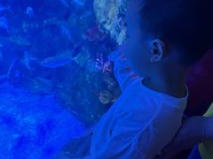 -太平洋海底世界